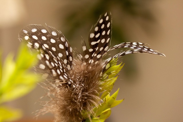 mortgage-investment-corporation